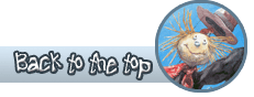 Back to the Top